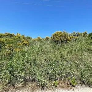 Земельный участок в Corfu, фото 2