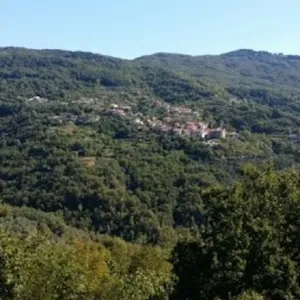 Дом в Алассио, фото 2