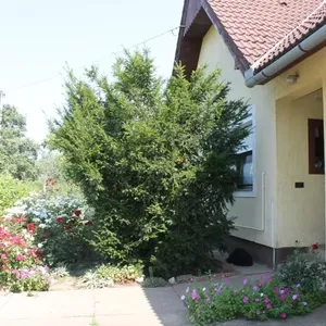 Отдельный дом в Хевиз, фото 3