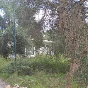 Отдельный дом в Corfu, фото 3