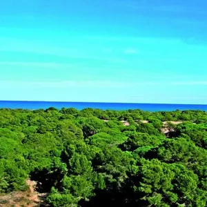 Квартира в Гуардамар-дель-Сегура, фото 3