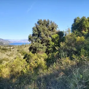 Земельный участок в Corfu, фото 3