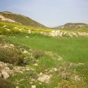 Земельный участок в Municipality of Gortys, фото 3