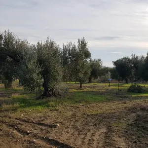 Земельный участок в Kassandra Municipality, фото 5