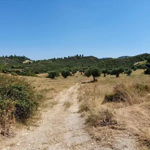Земельный участок в Kassandra Municipality, фото 3