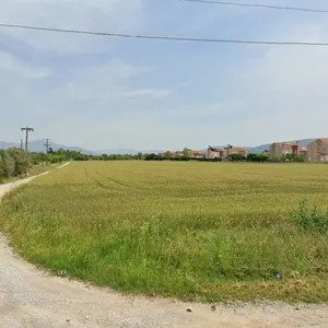 Земельный участок в Терми, фото 4
