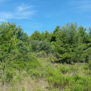 Земельный участок в Kassandra Municipality, фото 3