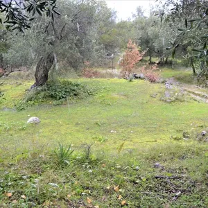Земельный участок в Corfu, фото 3