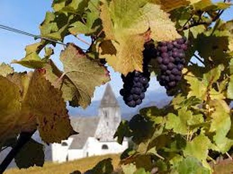 Ферма в Бордо