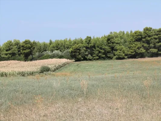 Земельный участок в Kassandra Municipality