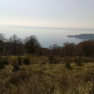 Земельный участок в Кульяче, фото 4