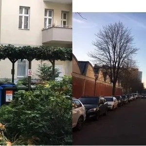 Квартира в Берлин, фото 2