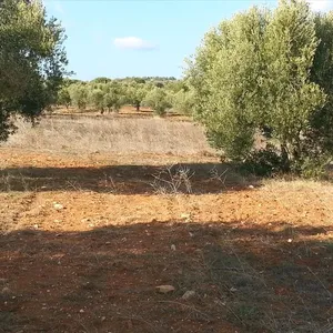 Земельный участок в Ситониа, фото 3