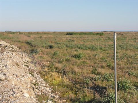 Земельный участок в Катерини