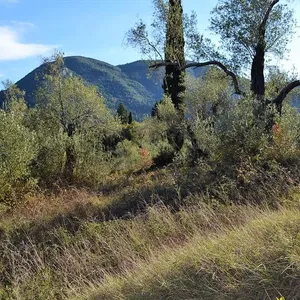Земельный участок в Corfu, фото 2