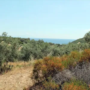 Земельный участок в Aristotle University of Thessaloniki, фото 4