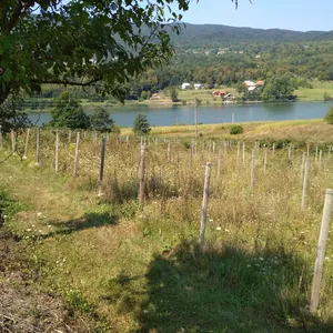 Земельный участок в огулин, фото 5
