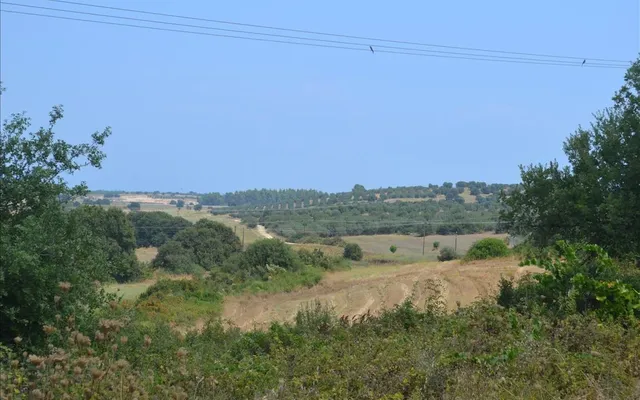 Земельный участок в Kassandra Municipality
