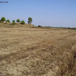 Земельный участок в Каламаки, фото 3