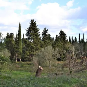 Земельный участок в Corfu, фото 4
