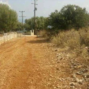 Земельный участок в Меганиси, фото 4