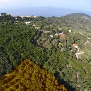 Земельный участок в Corfu, фото 4