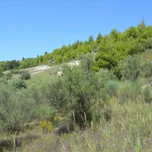 Земельный участок в Kassandra Municipality, фото 3