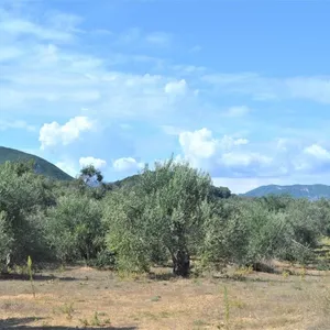Земельный участок в Corfu, фото 2