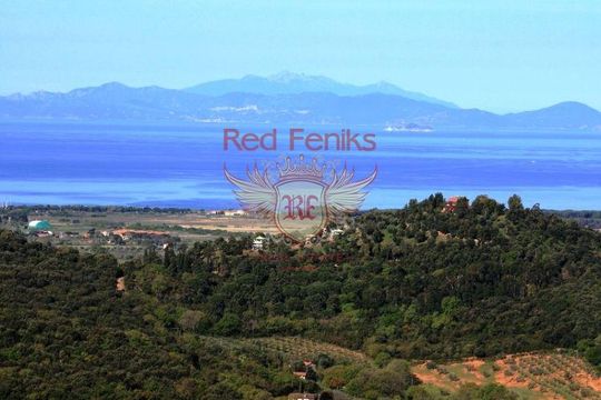 Коммерческая недвижимость в Гроссето