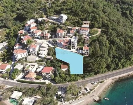 Земельный участок в Лепетане