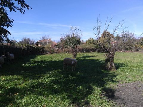 Отдельный дом в Горица