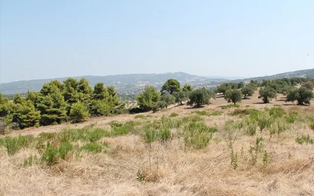 Земельный участок в Kassandra Municipality