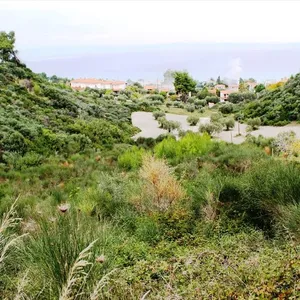 Земельный участок в Kassandra Municipality, фото 3