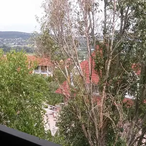 Квартира в Хевиз, фото 3