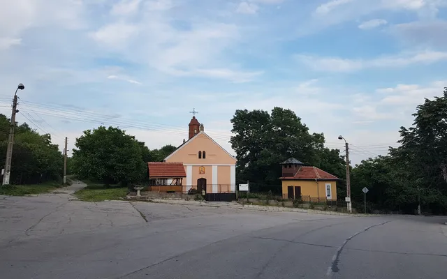 Отдельный дом в Видин