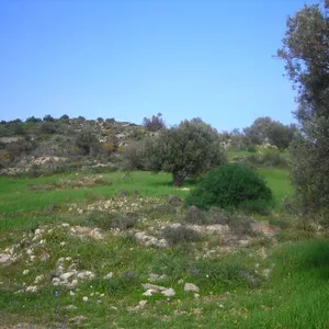 Земельный участок в Municipality of Gortys, фото 4