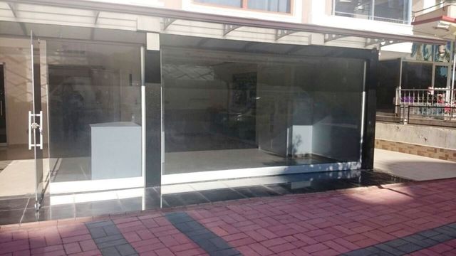 Коммерческая недвижимость в Алания