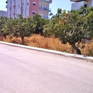 Земельный участок в Коропи, фото 3