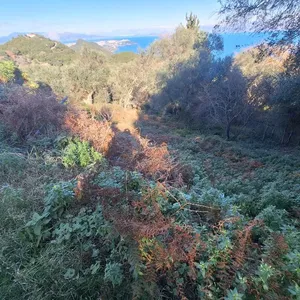 Земельный участок в Corfu, фото 2