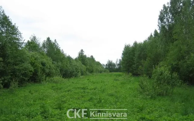 Земельный участок в Лавассааре