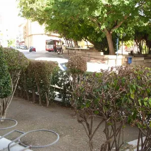 Квартира в Аликанте, фото 3