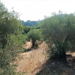 Земельный участок в Corfu, фото 5