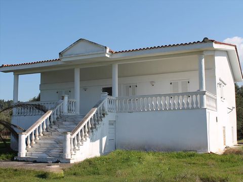 Коттедж в Каллифея (Кассандра)