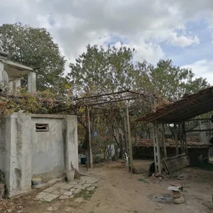 Дом в Бургасская область, фото 5