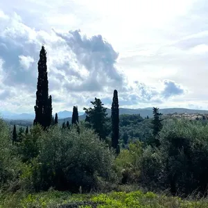 Земельный участок в Corfu, фото 3
