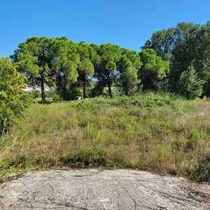 Земельный участок в Ситониа, фото 3