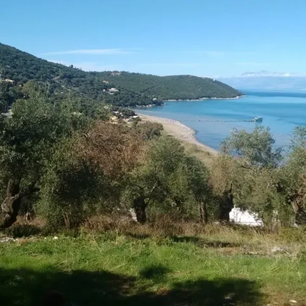 Земельный участок в Corfu, фото 1