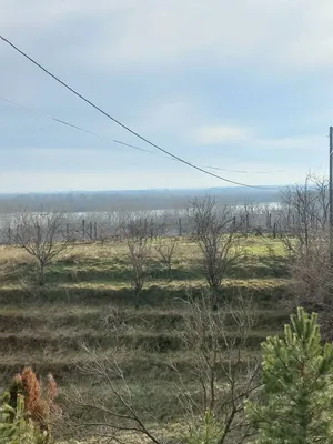 Земельный участок в Стара-Пазова