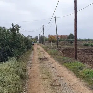 Отдельный дом в Муниципалитет Неа-Пропонтида, фото 3
