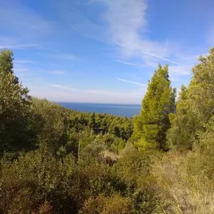Земельный участок в Ситониа, фото 2